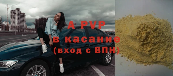 гашик Абаза