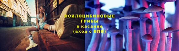 гашик Абаза
