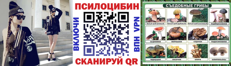 Псилоцибиновые грибы Psilocybine cubensis  Щучье 