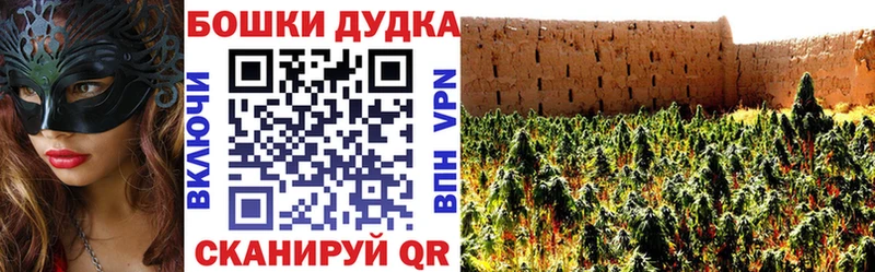 маркетплейс телеграм Щучье Бошки Шишки семена закладки